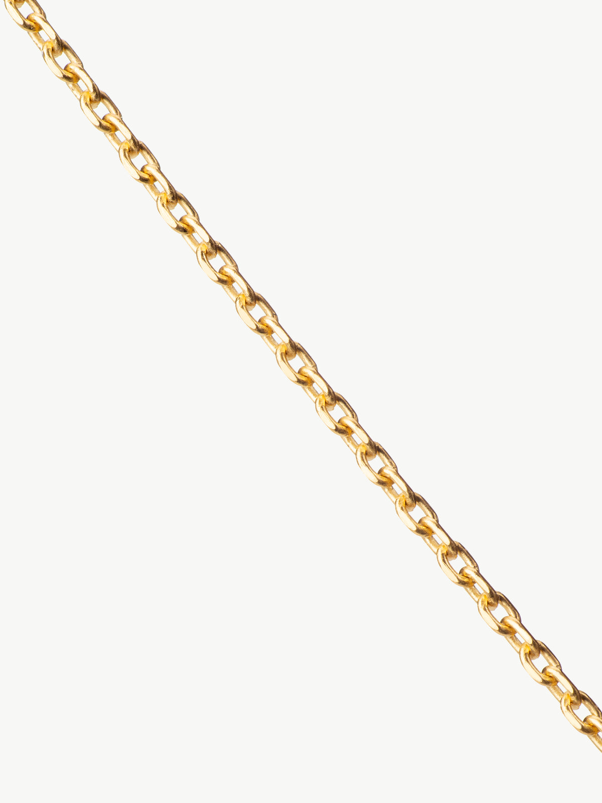 Trace Chain in gold