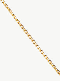 Trace Chain in gold